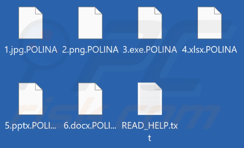 Files encrypted by POLINA ransomware (.POLINA extension)