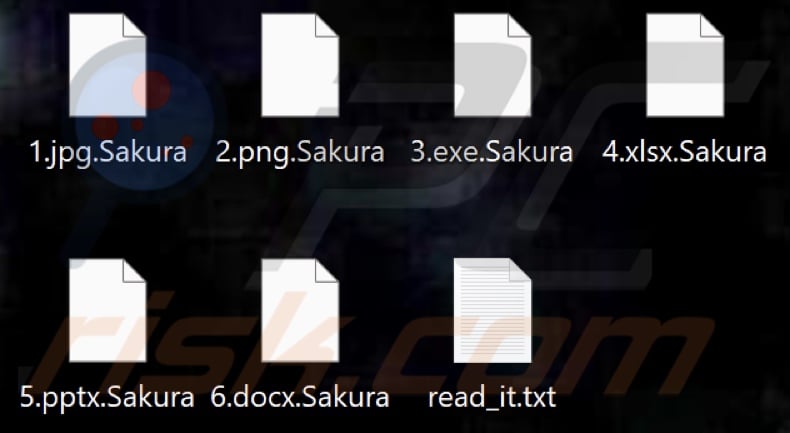 Files encrypted by Sakura ransomware (.Sakura extension)