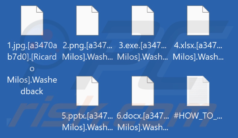 Files encrypted by Washedback ransomware (.Washedback extension)