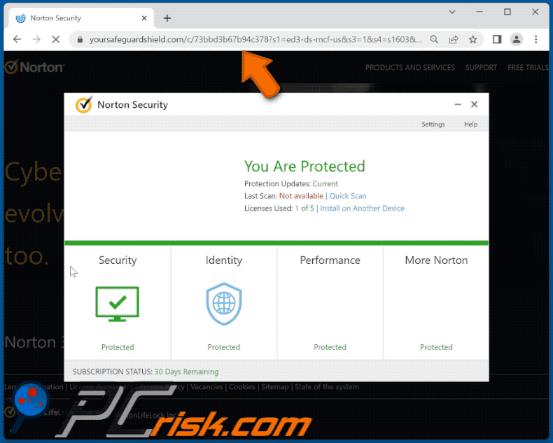 yoursafeguardshield[.]com website appearance (GIF)