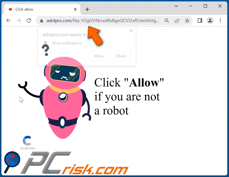 advtpro[.]com website appearance (GIF)