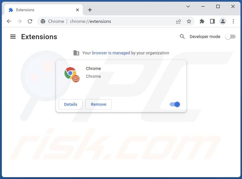 Removing fake Chrome extension ads from Google Chrome step 2
