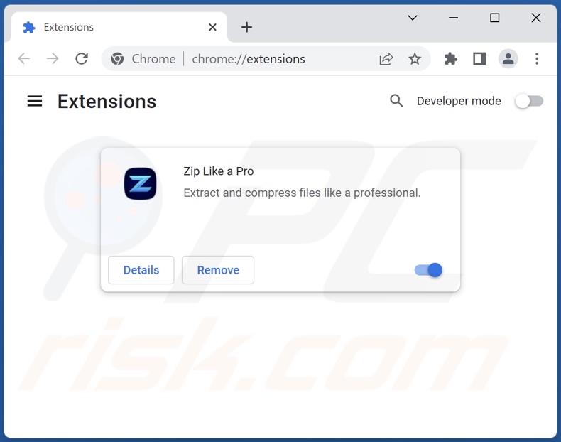 Removing Zip Like a Pro ads from Google Chrome step 2