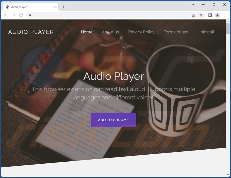 Website promoting Audio Player adware