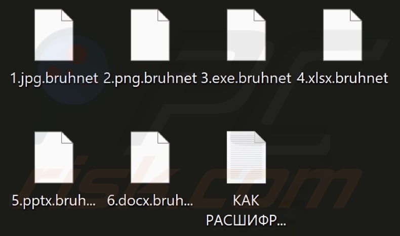 Files encrypted by Bruhnet ransomware (.bruhnet extension)