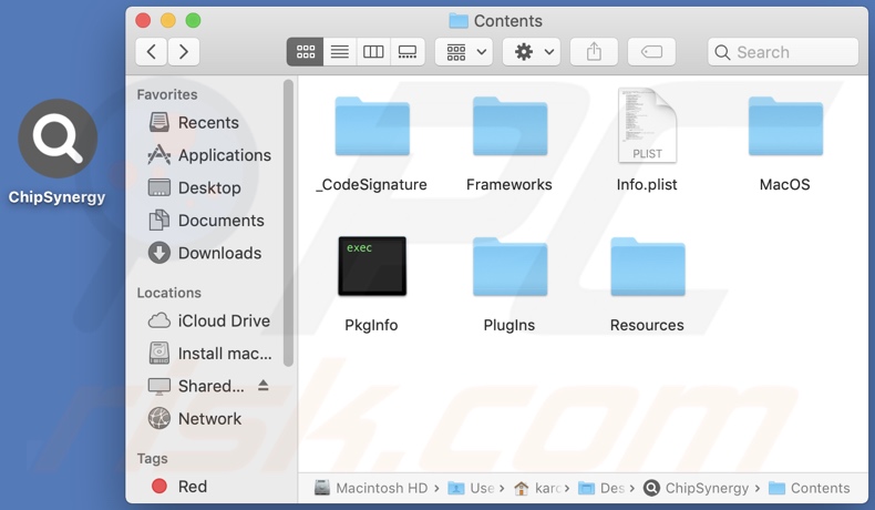 ChipSynergy adware install folder