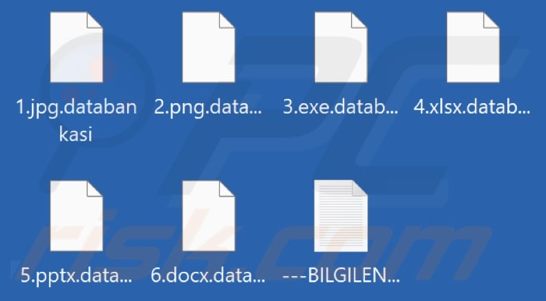 Files encrypted by DataBankasi ransomware (.databankasi extension)