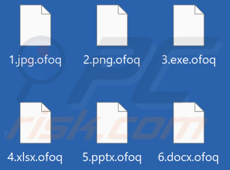 Files encrypted by Ofoq ransomware (.ofoq extension)