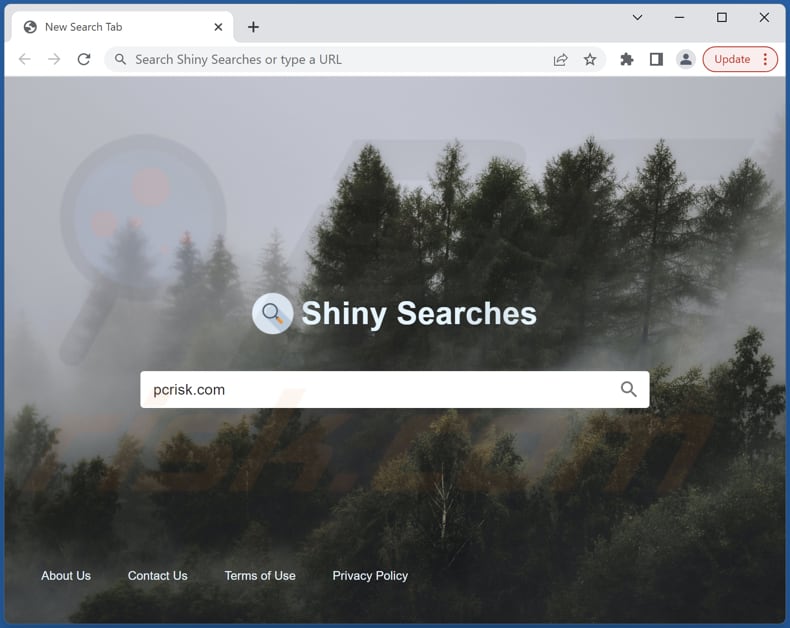 search.shiny-searches.com as the homepage