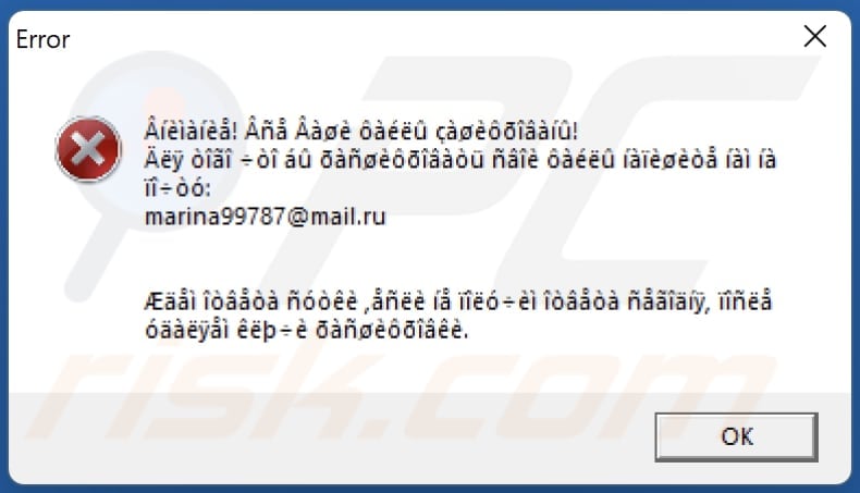 feg ransomware error window