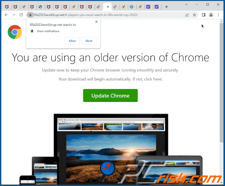 you are using an older version of chrome scam appearance