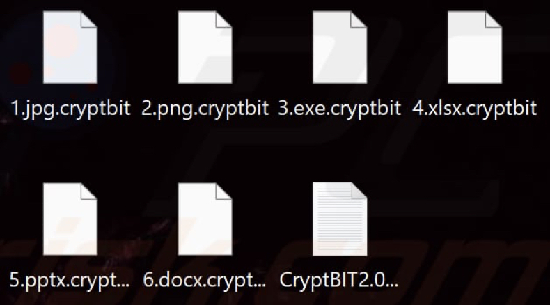 Files encrypted by CryptBIT 2.0 ransomware (.cryptbit extension)