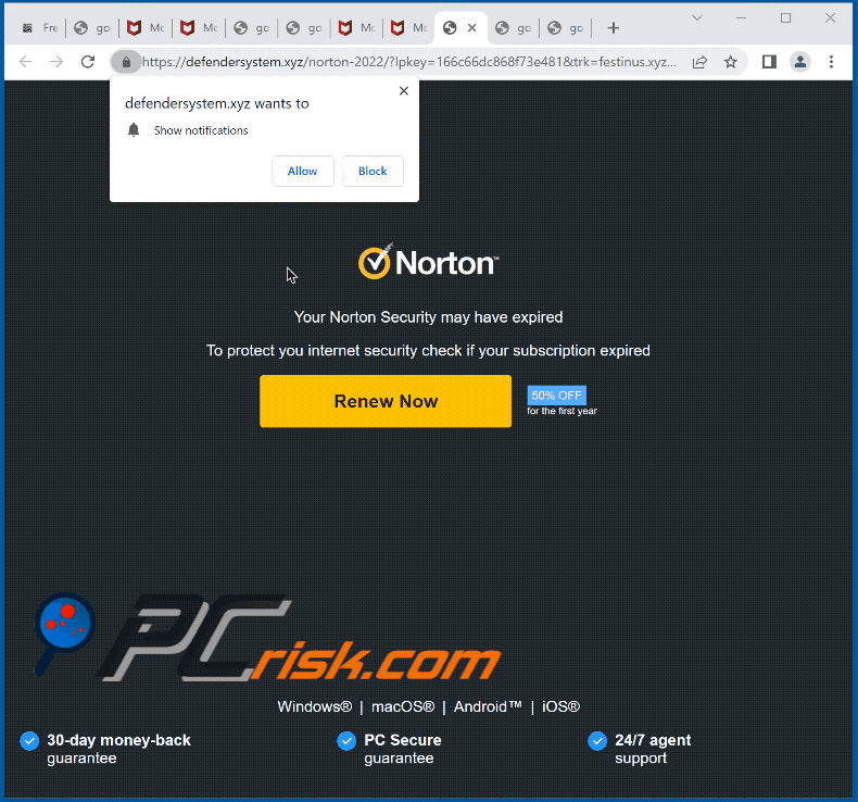 defendersystem[.]xyz website appearance (GIF)