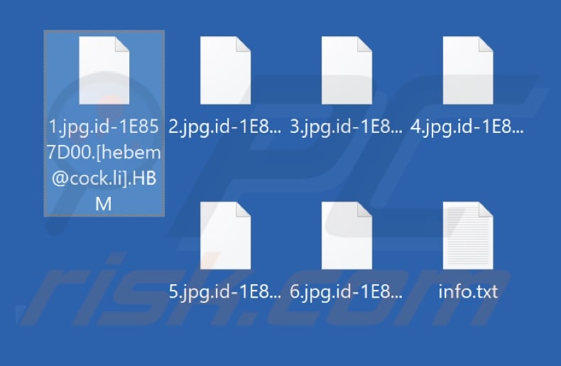 Files encrypted by HBM ransomware (.HBM extension)