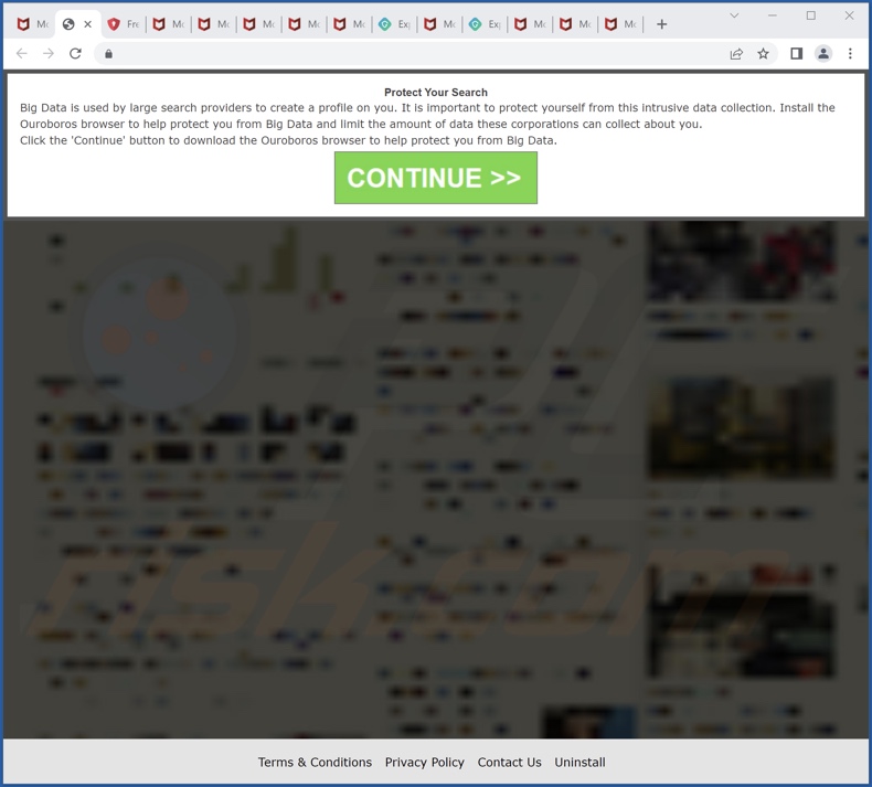 Deceptive site promoting Ouroboros browser PUA