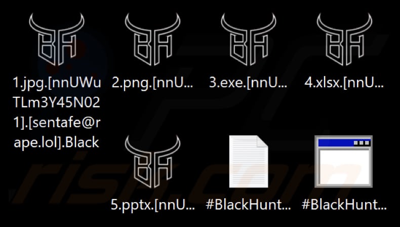 Files encrypted by Black Hunt ransomware (.Black extension)