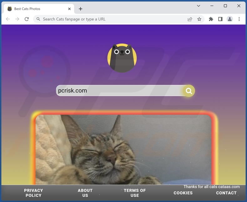 search.cats-fan.com browser hijacker