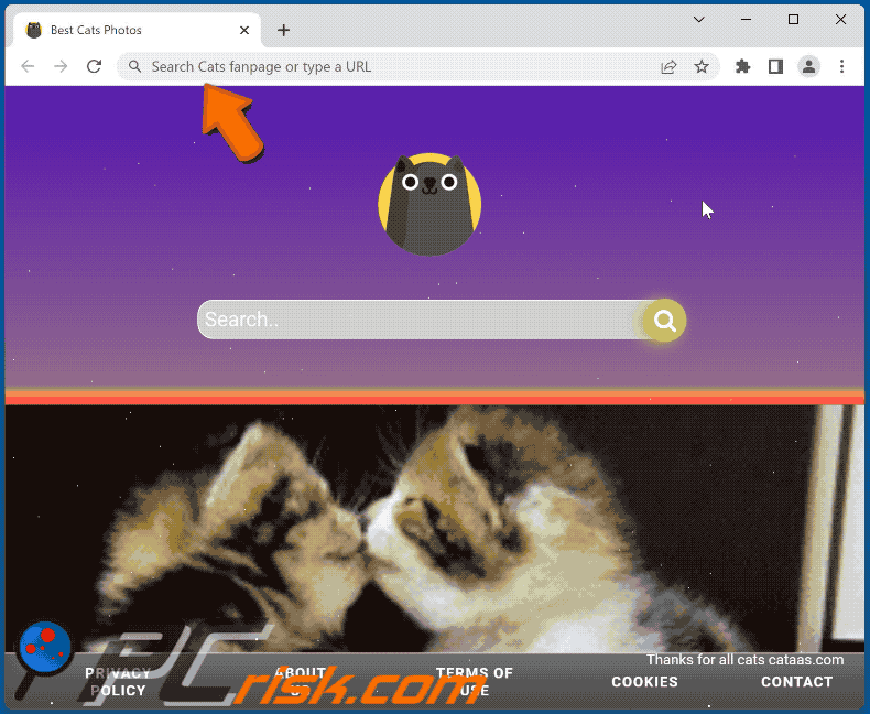 cats fanpage browser hijacker search.cats-fan.com redirects to bing.com