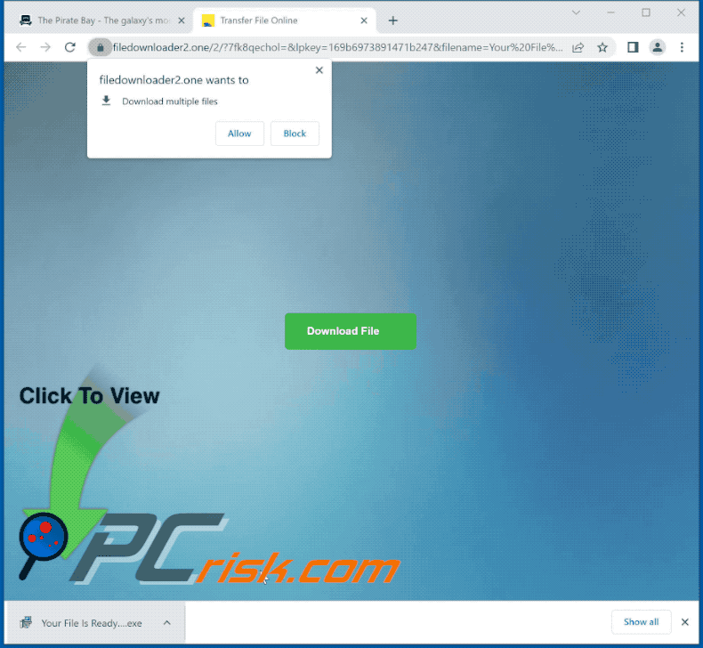 filedownloader2[.]one website appearance (GIF)