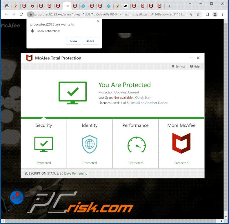 proprotect2023[.]xyz website appearance (GIF)