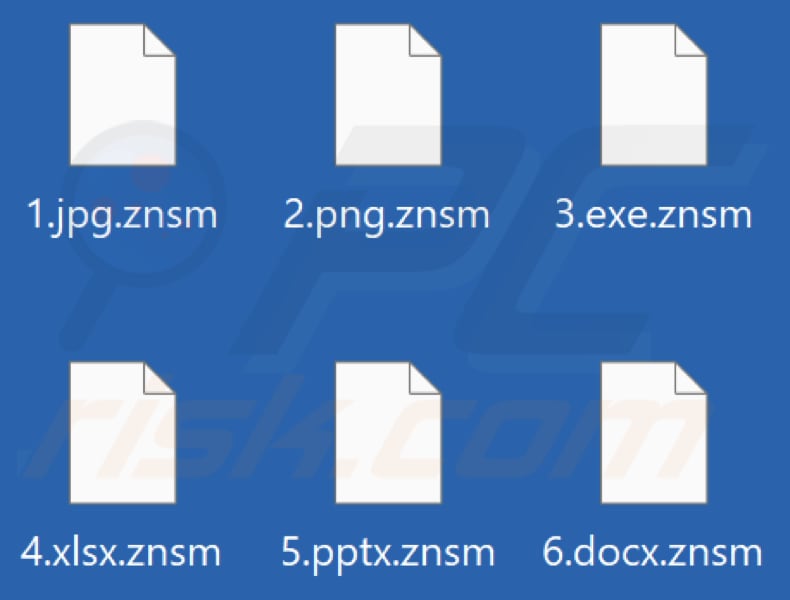 Files encrypted by Znsm ransomware (.znsm extension)