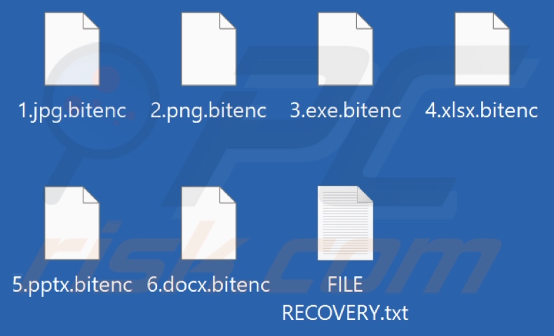 Files encrypted by Bitenc ransomware (.bitenc extension)
