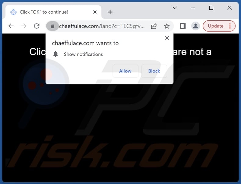 chaeffulace[.]com pop-up redirects