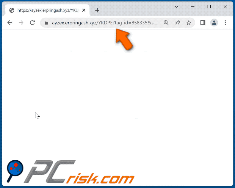 erpringash[.]xyz website appearance (GIF)