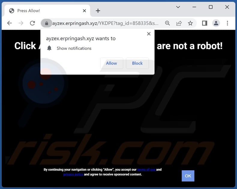 erpringash[.]xyz pop-up redirects