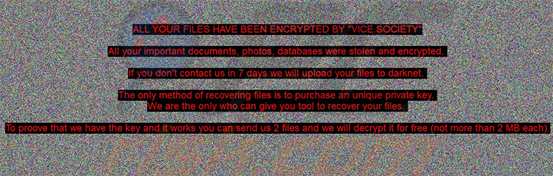 VICE SOCIETY ransomware desktop wallpaper