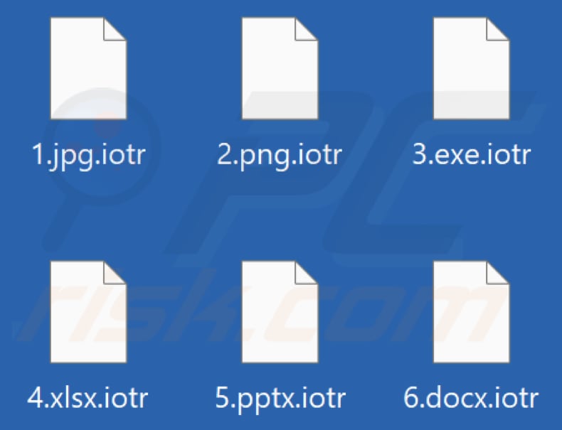 Files encrypted by Iotr ransomware (.iotr extension)