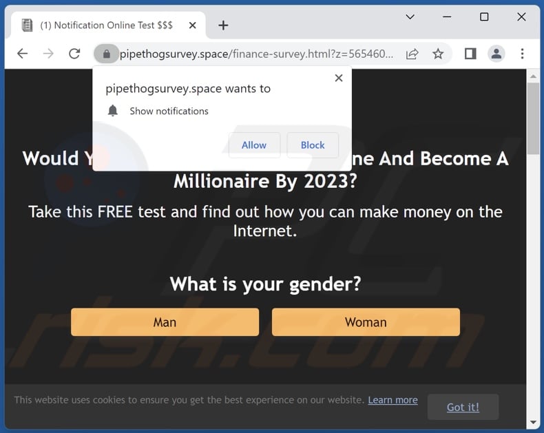 pipethogsurvey[.]space pop-up redirects