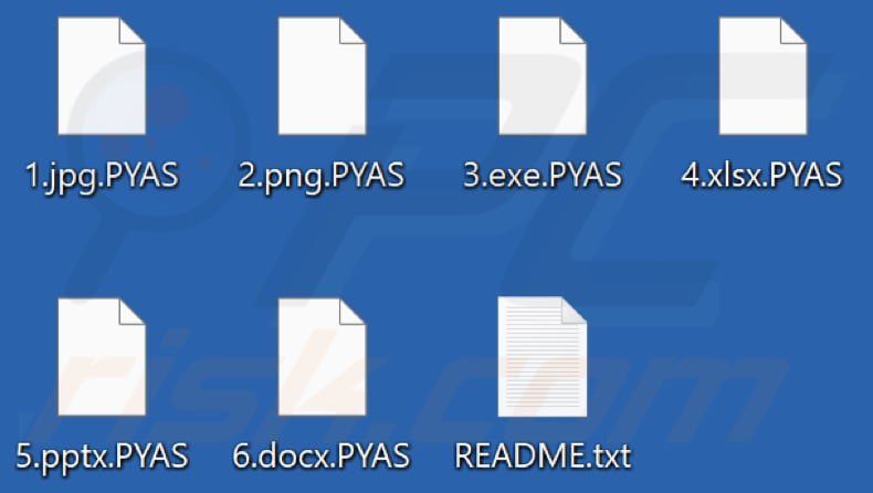 Files encrypted by PYAS ransomware (.PYAS extension)