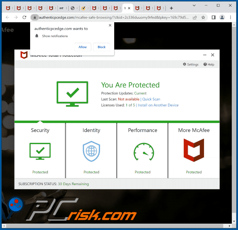 authenticpcedge[.]com website appearance (GIF)