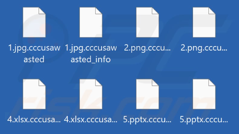 Files encrypted by CCC USA ransomware (.cccusawasted extension)