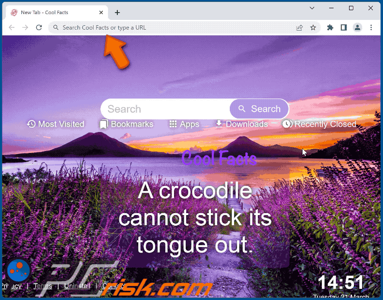 Cool Facts browser hijacker redirecting to Bing (GIF)