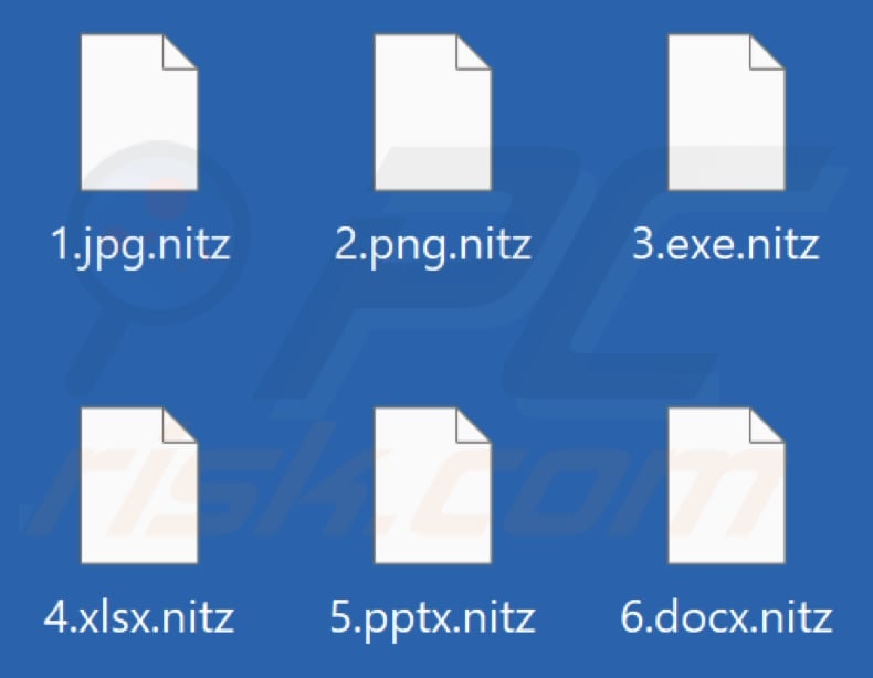 Files encrypted by Nitz ransomware (.nitz extension)