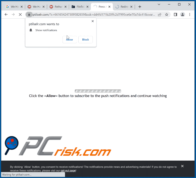 ptilselr[.]com website appearance (GIF)