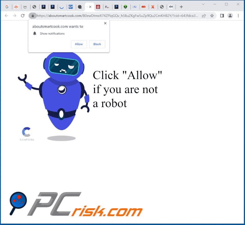aboutsmartcook[.]com website appearance (GIF)