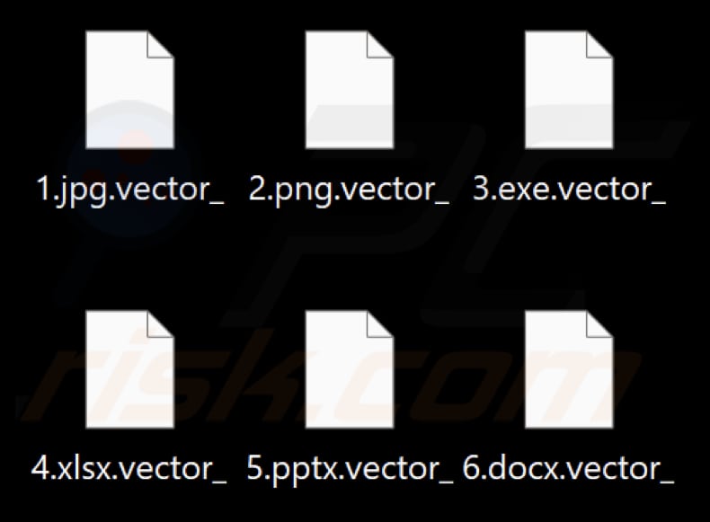 Files encrypted by Kadavro Vector ransomware (.vector_ extension)