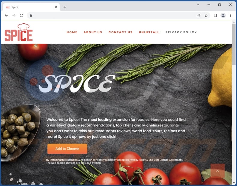 Website used to promote Spice browser hijacker