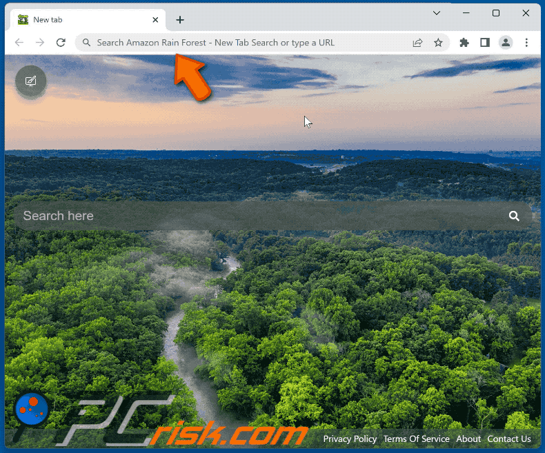 Amazon Rain Forest - New Tab Search browser hijacker redirecting to Bing (GIF)