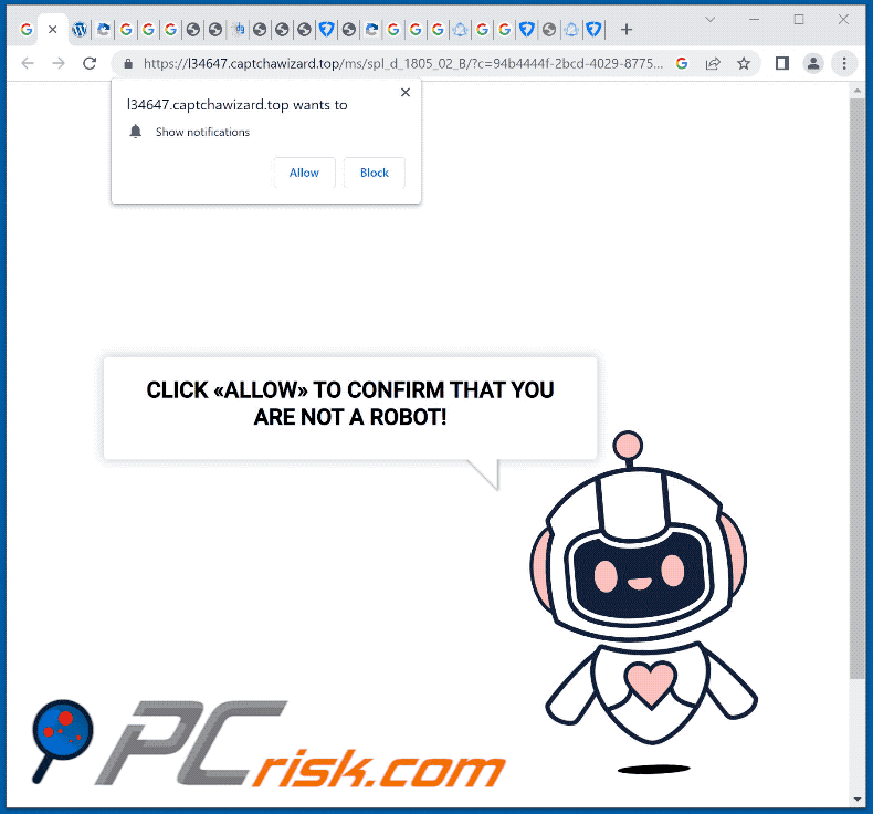captchawizard[.]top website appearance (GIF)