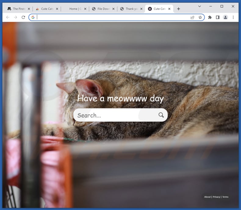 Cute Cats Tab browser hijacker