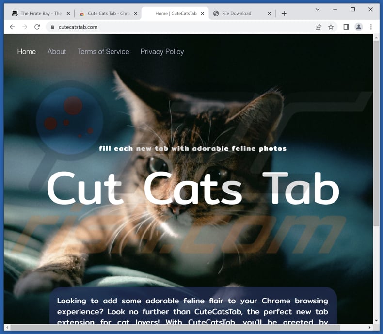 Another website promoting Cute Cats Tab