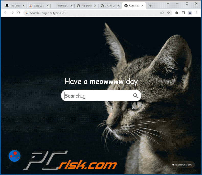 Cute Cats Tab browser hijacker shows bing.com results