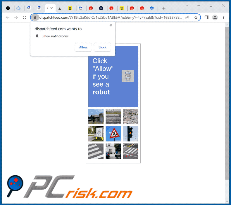 dispatchfeed[.]com website appearance (GIF)