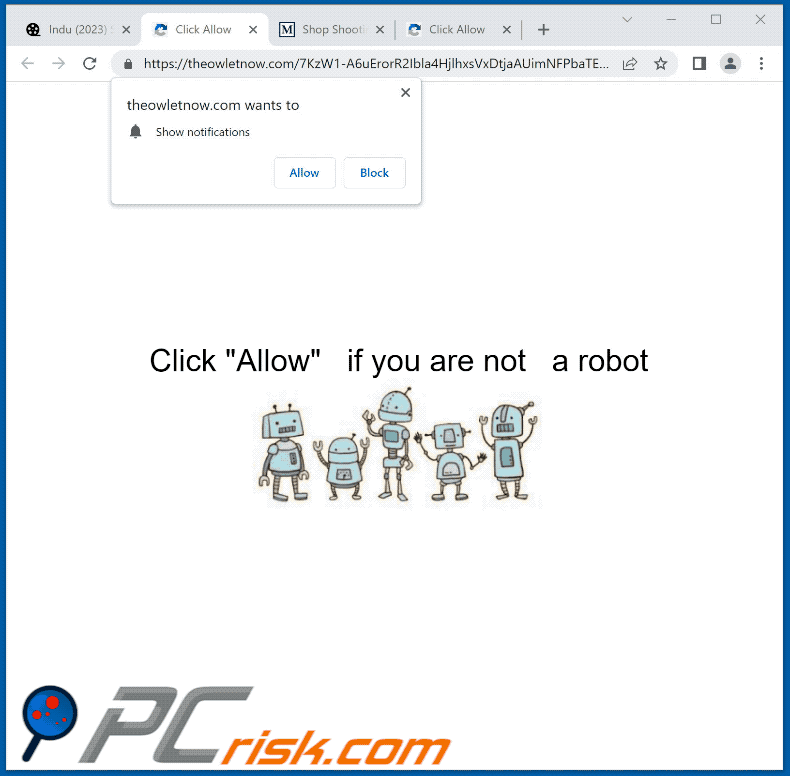 theowletnow[.]com website appearance (GIF)