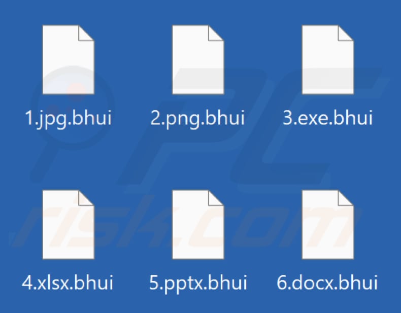 Files encrypted by Bhui ransomware (.bhui extension)