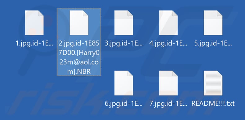 Files encrypted by NBR ransomware (.NBR extension)